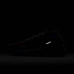 Nike Men's React Pegasus Trail 4 GORE-TEX Running Shoes - Velvet Brown -Sportswear Promotions FB2193 200 M Nike PegasusTrail4GORE TEX dark